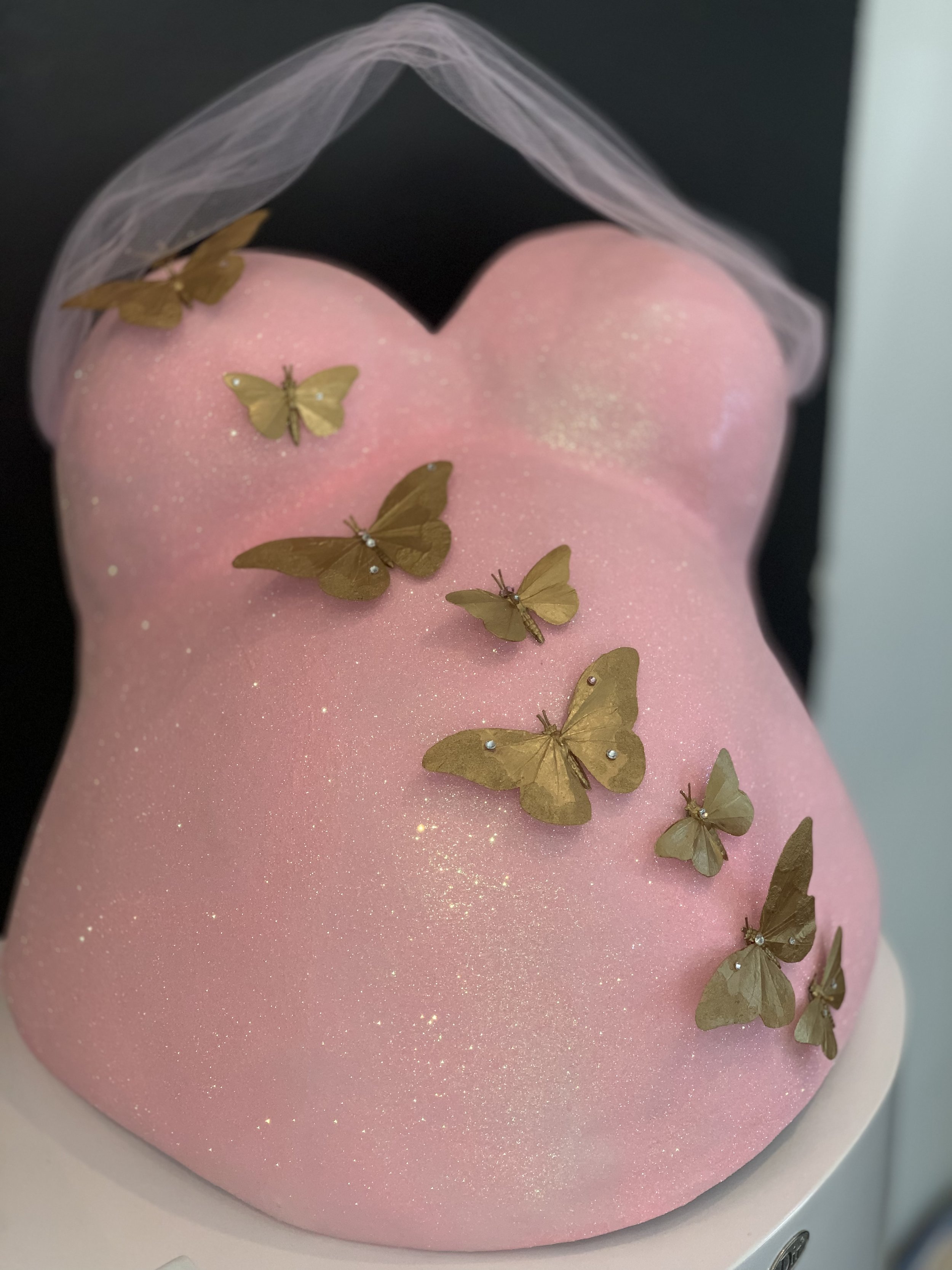 Download Haylo3d Imaging