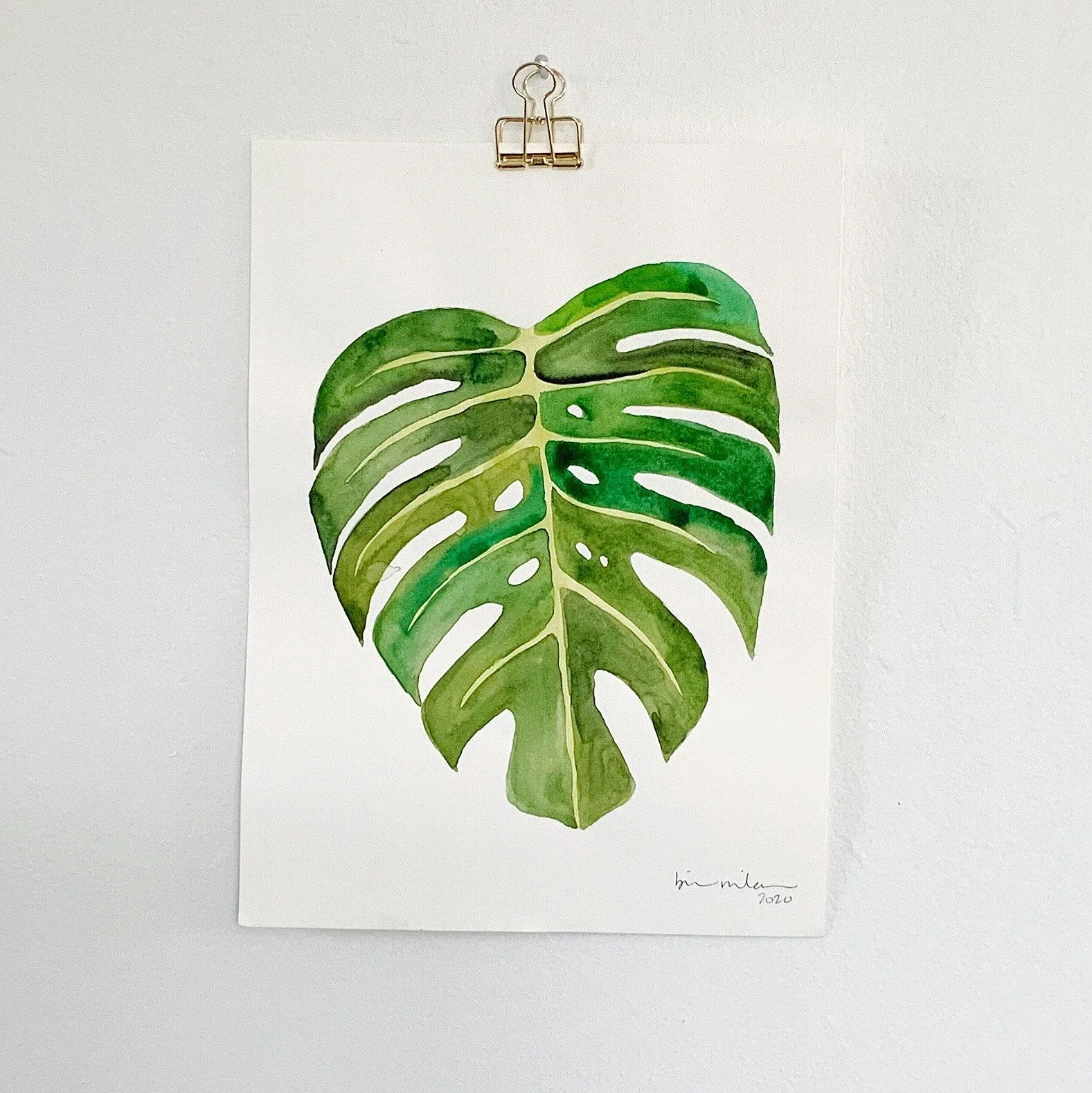 Monstera 02