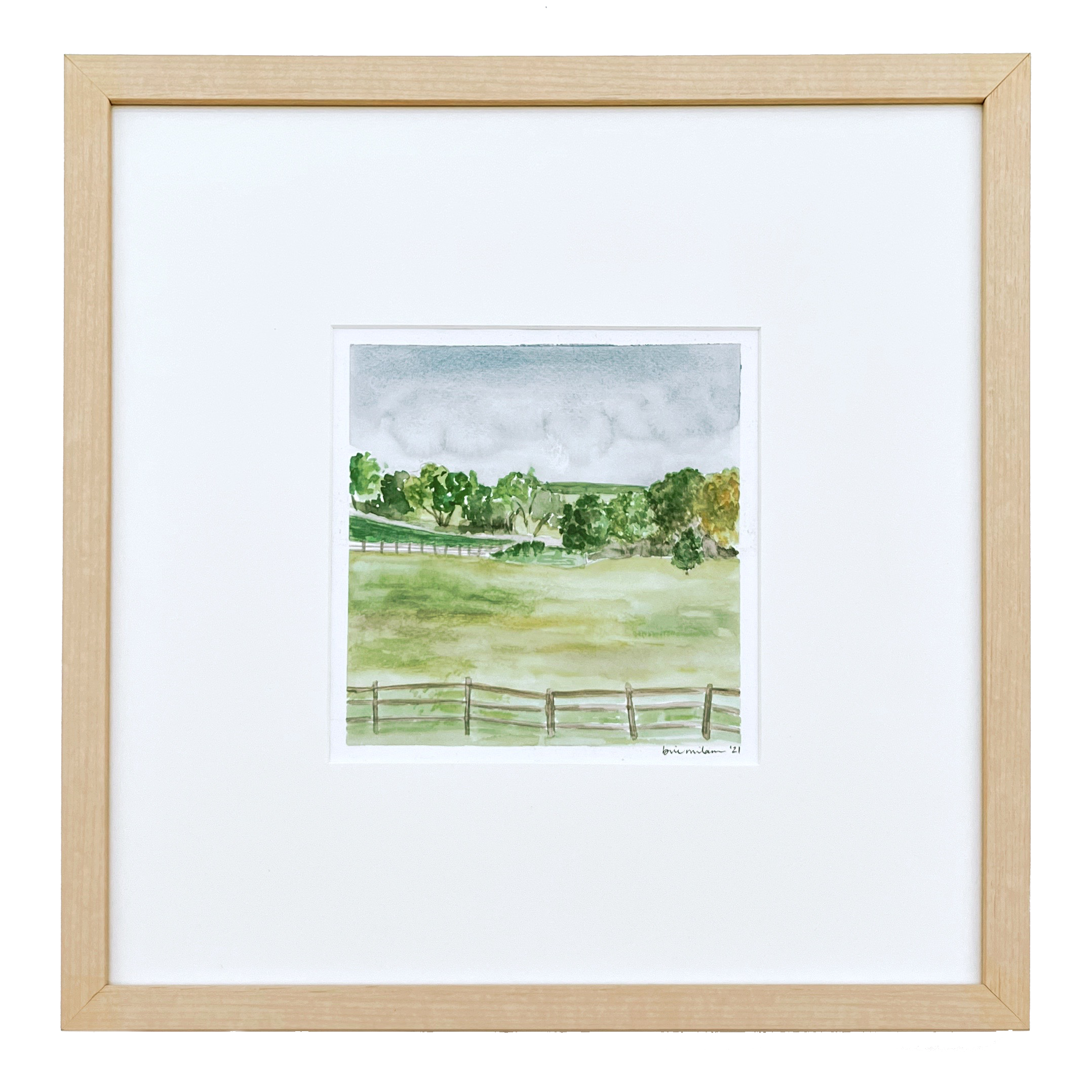 Morning View of the Field 2.png