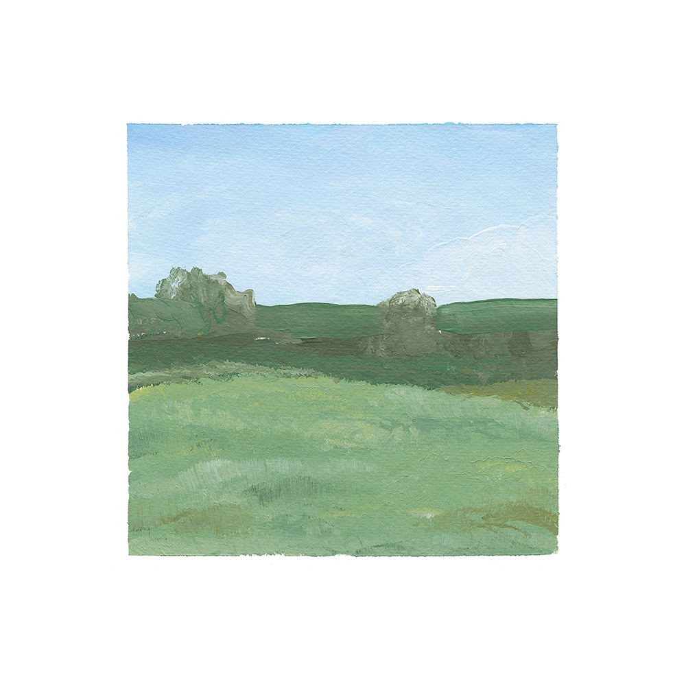 Morning View of the Field 3 - 12x12-1.png