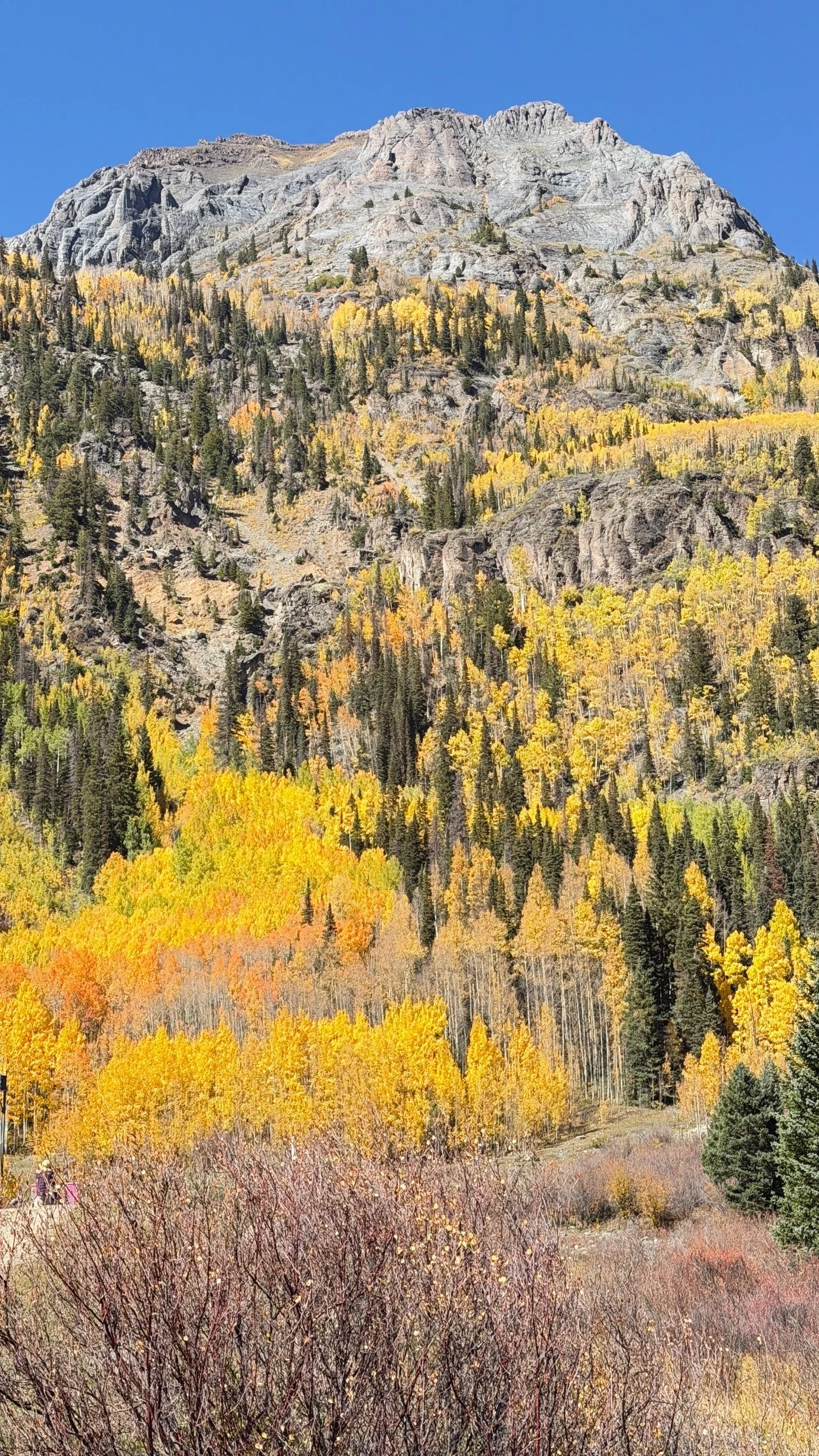 Seasonal Watercolor Landscape Workshop
