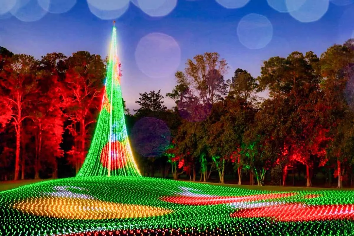 fantasy-in-lights-callaway-gardens-ga.jpg