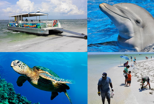 dolphin-adventure-island-cruise.png
