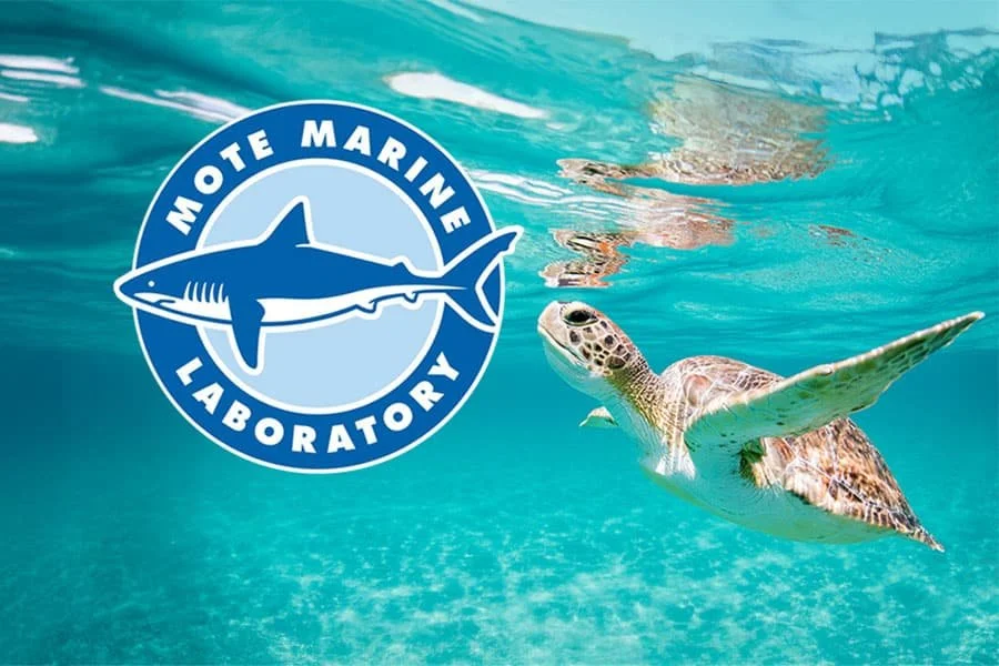 moteMarineLaboratoryAndAquarium.jpg