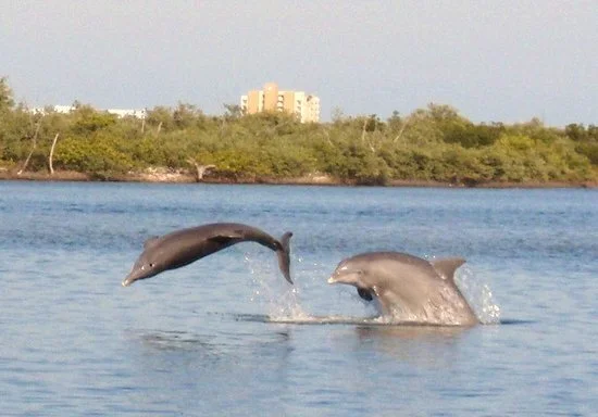 marine-discovery-center.jpg