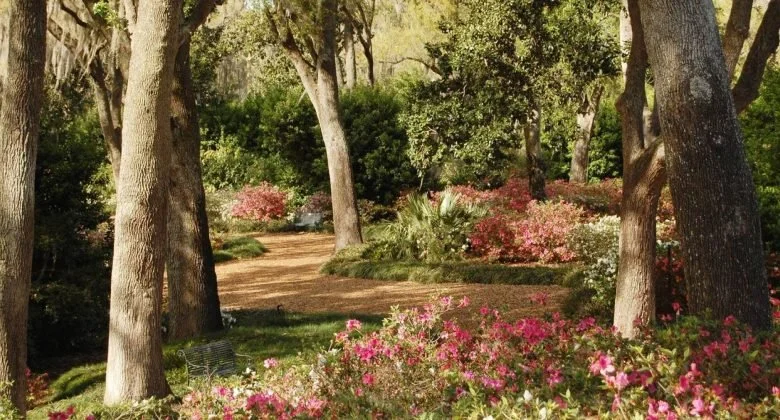 Azalea-Path-during-Peak-Bloom-at-Bok-Tower-Gardens-in-Lake-Wales-Central-Florida.jpg