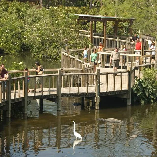 gatordaytrip.jpg