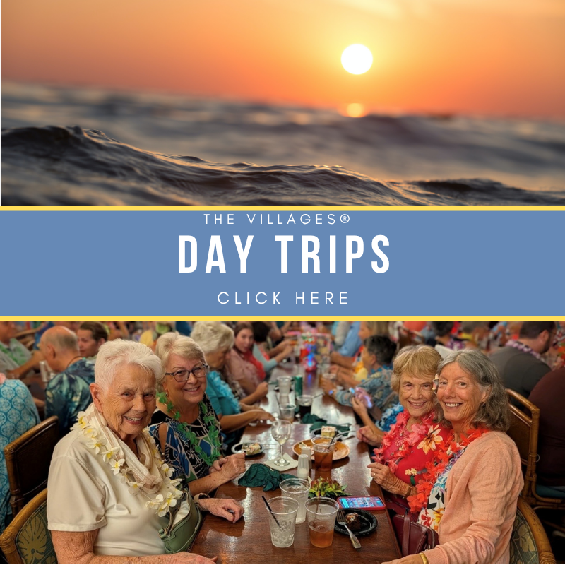 Copy of day trip icon.png