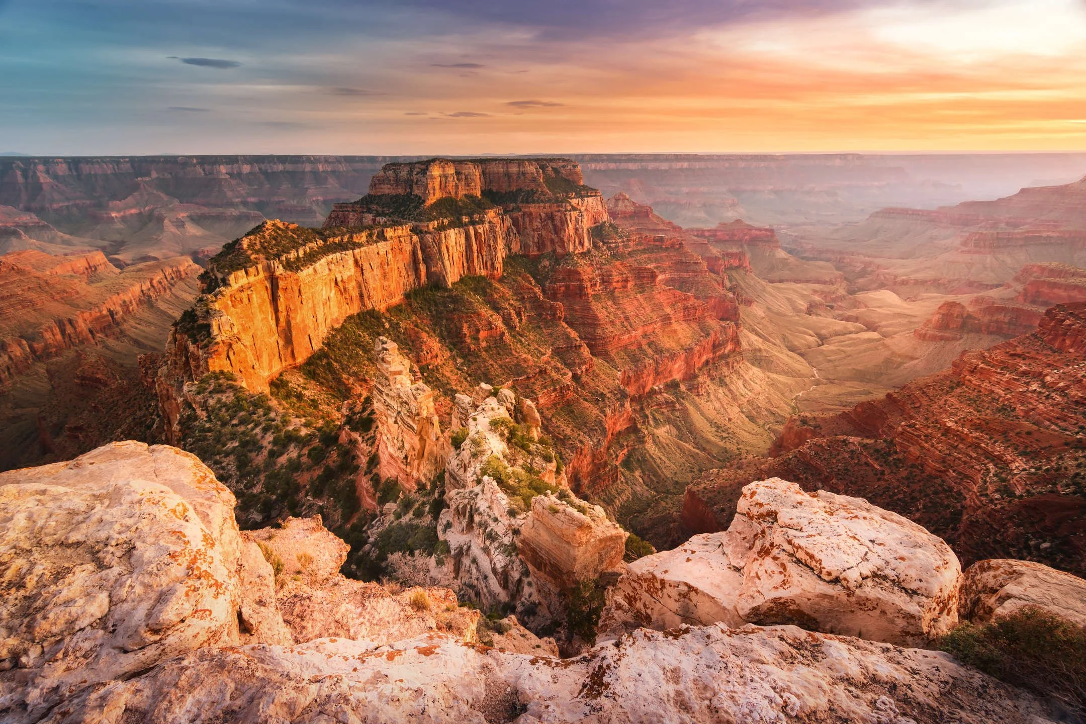 IN_Canyons_5f3adf6604abd18a7e5dcc3a.jpeg