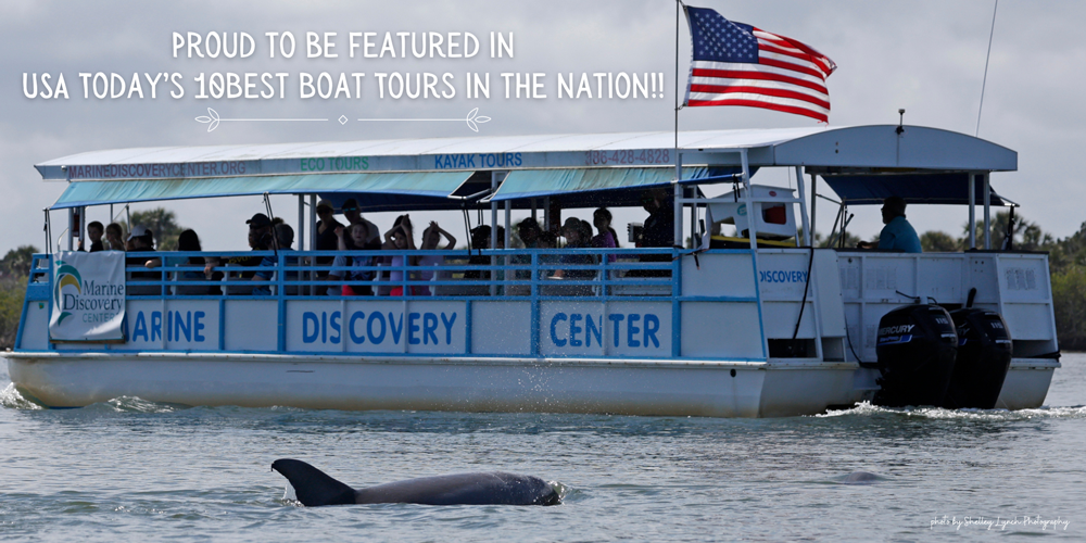 10best-boat-tour.png