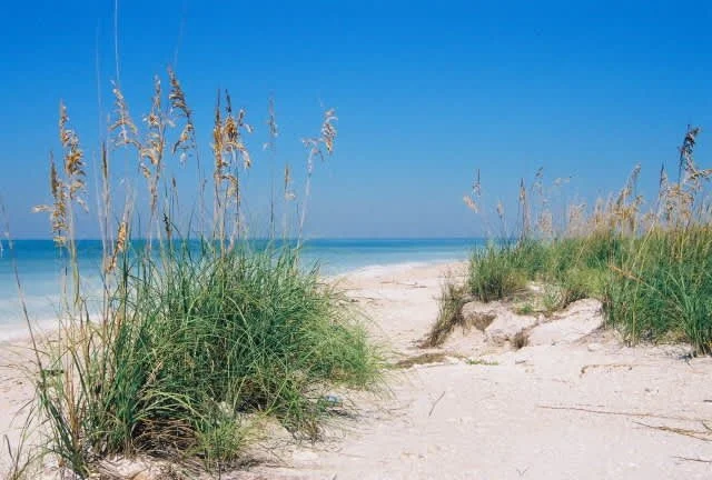 honeymoonisland.jpg