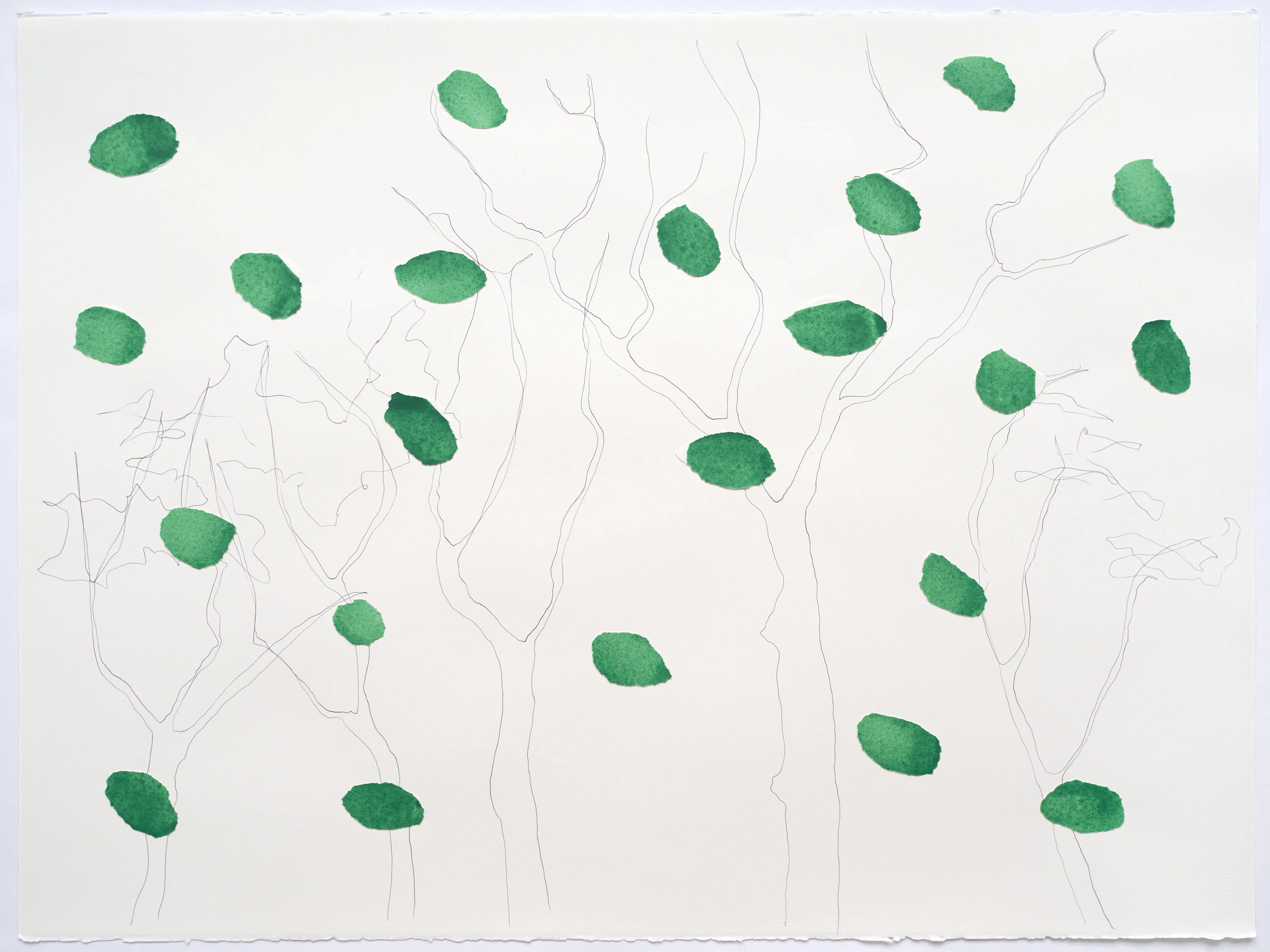 Cadmium Green Deep