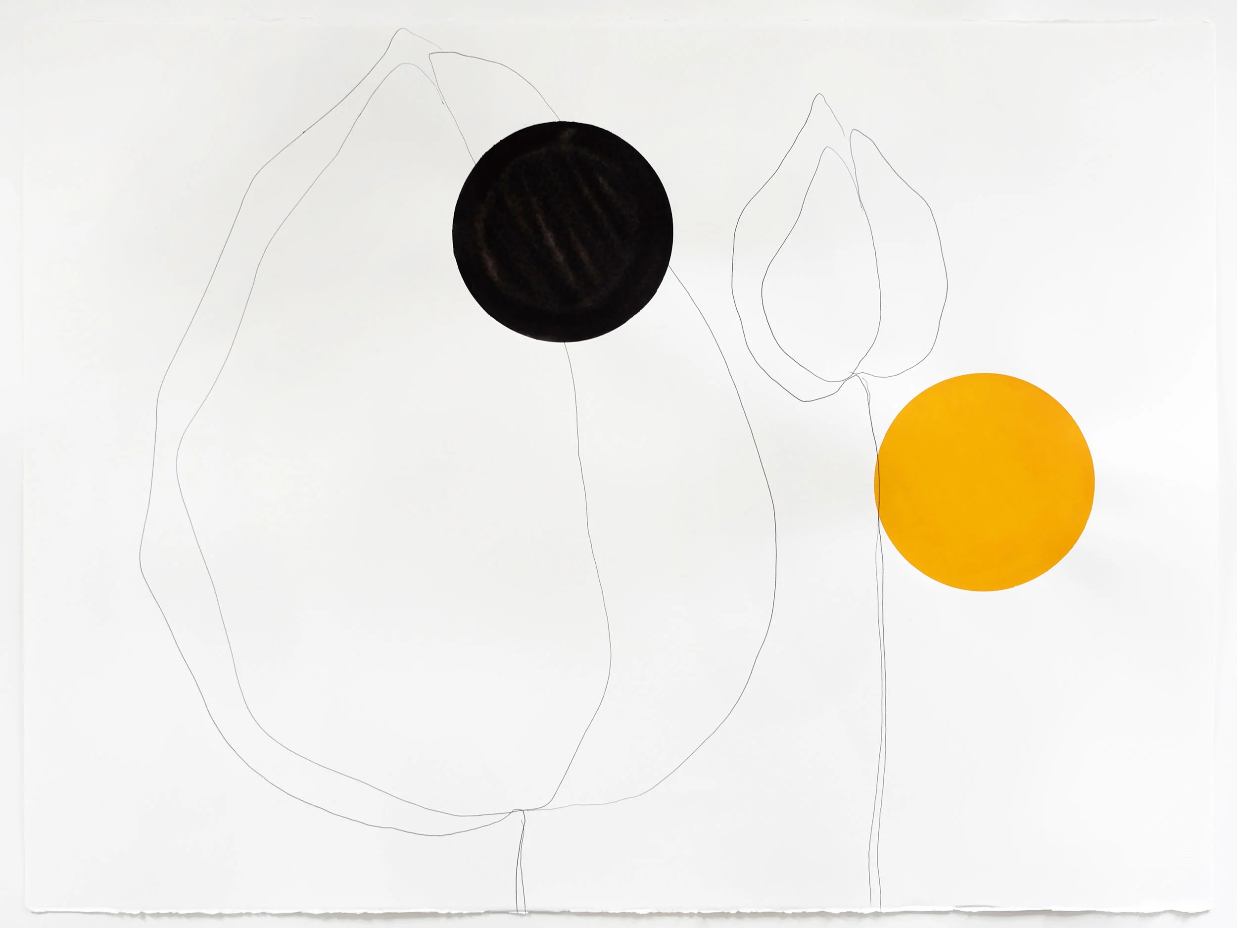 Untitled (J. L.)