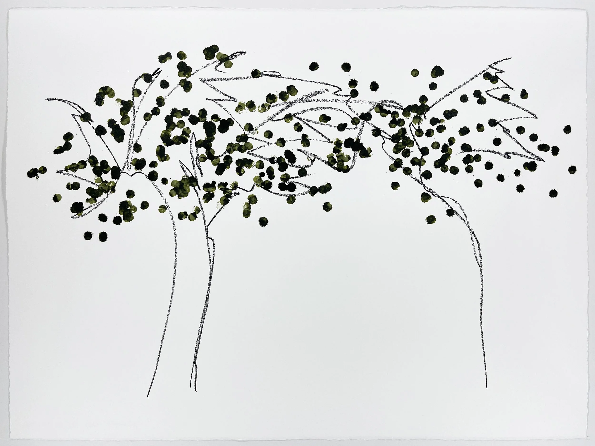 Trees: Sapgreen Extra