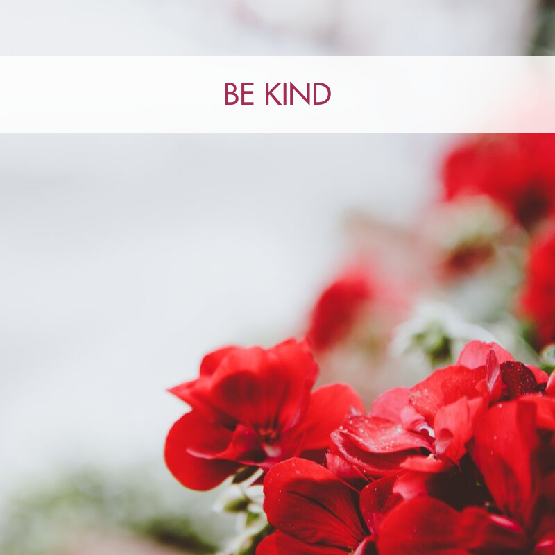 Copy of S.A. Blog Posts (11).png