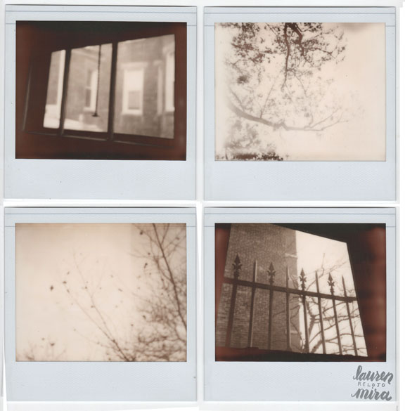 Through the Windows