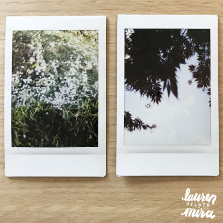 LRM NaturePolaroids.jpg