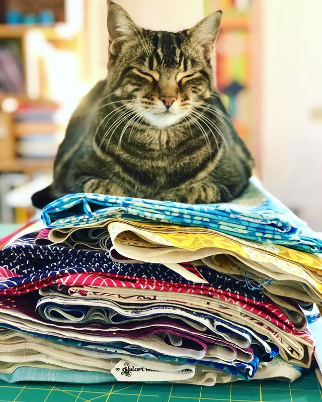 Day 79/100... full on design mode today for the release of my new fabric collection, Kismet. Since I can’t show you the fabric quite yet here is my cute studio helper, Lucy, who has decided it is really her fabric! @freespiritfabrics #valoriwells #100dayproject #create #the100dayproject #30minutesofcreativity #createdaily #beinspired #artistoflife #freespiritfabrics #fabricdesigner #quiltmarket #studiocat #lucyandollie #maker #designer #quilts #quilter