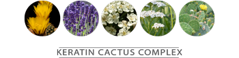 Cactus Flower • Lavender • Hawthorn Fruit Extract • Meadowfoam Flower