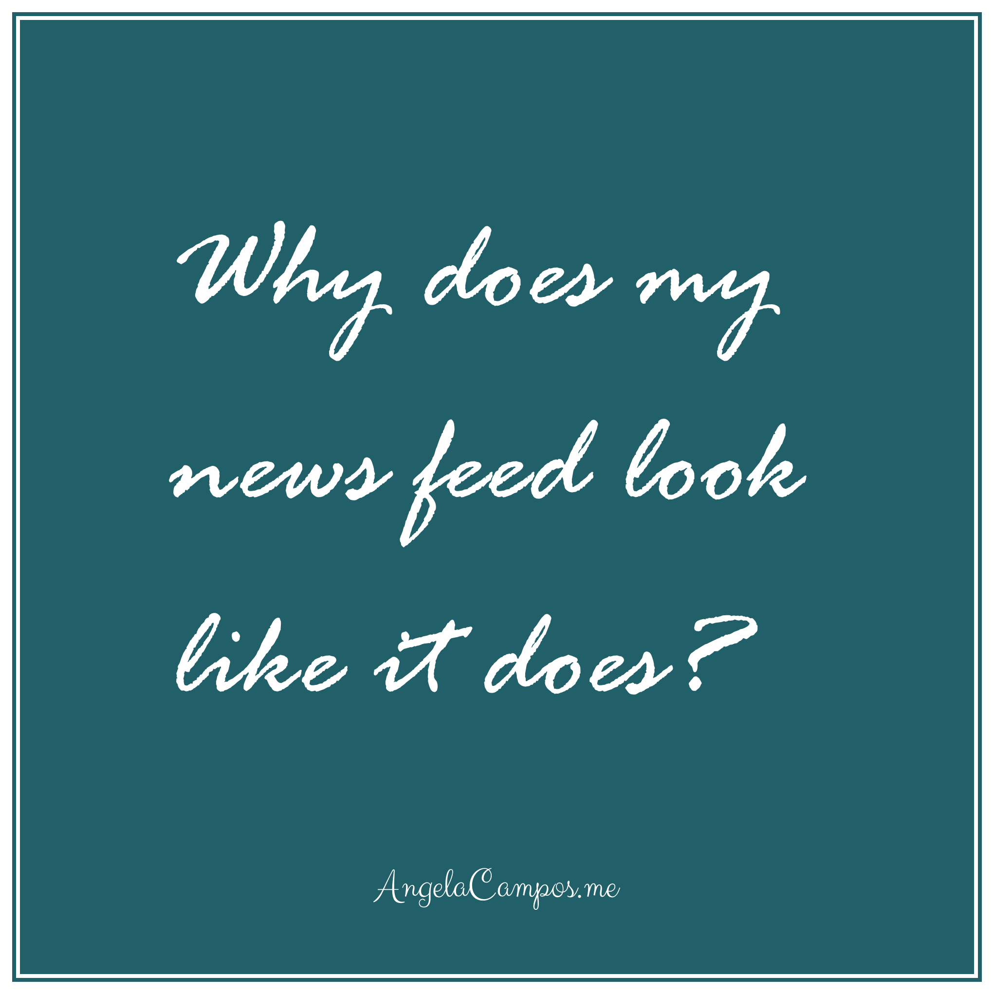 News Feed.png