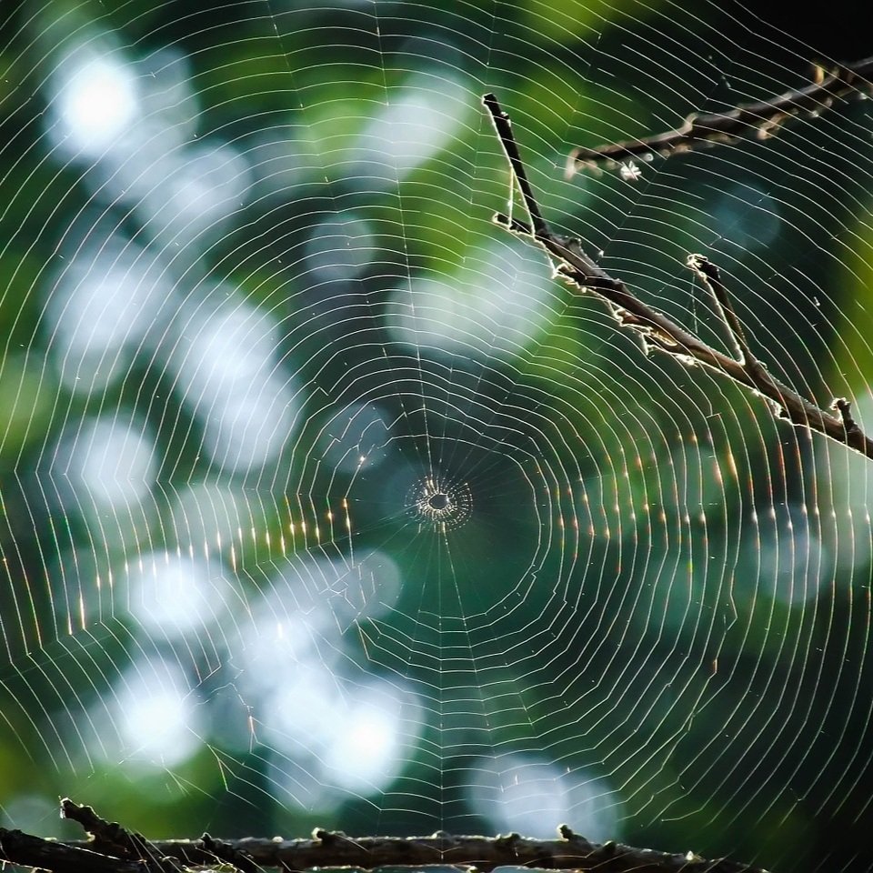 Entrepreneurial Resilience Begins with You