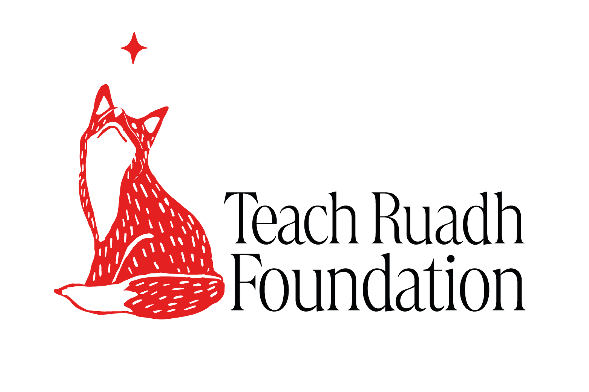 When Good Work Goes Unseen: Why the Teach Ruadh Foundation Exists