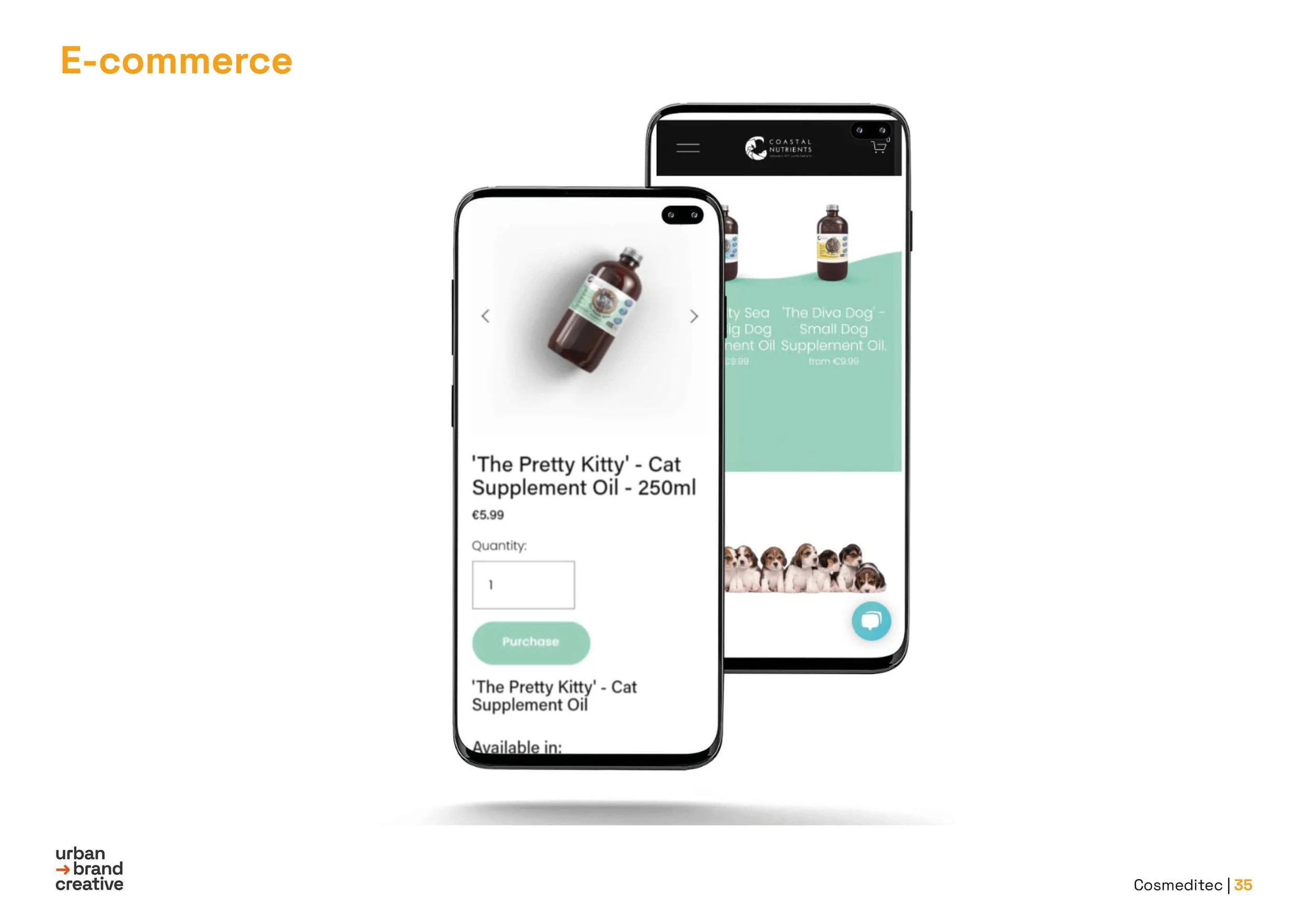 Pitch Proposal35.jpg