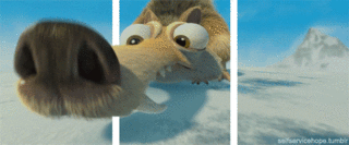 giphy (3).gif