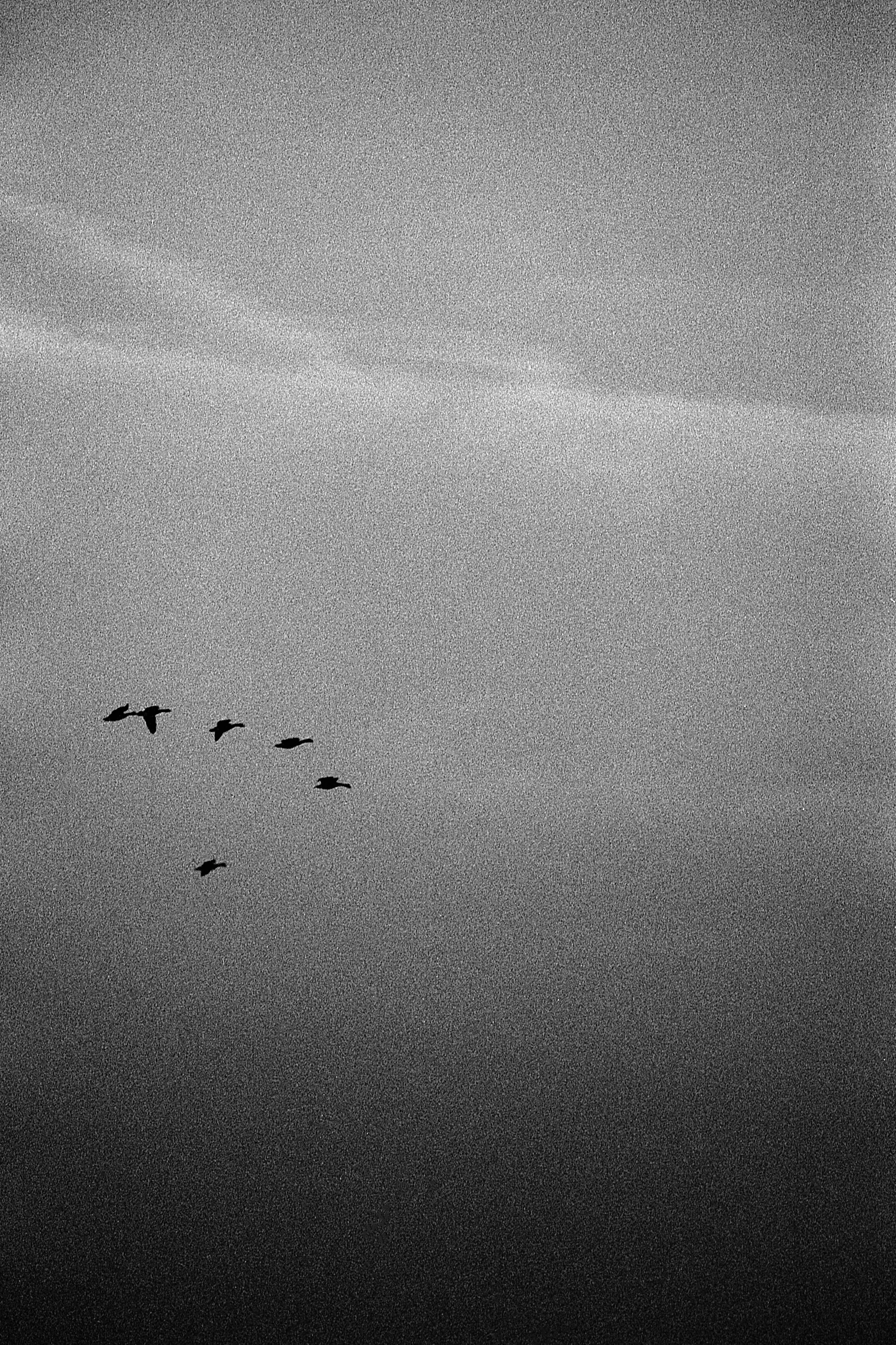 Matthew Johnson