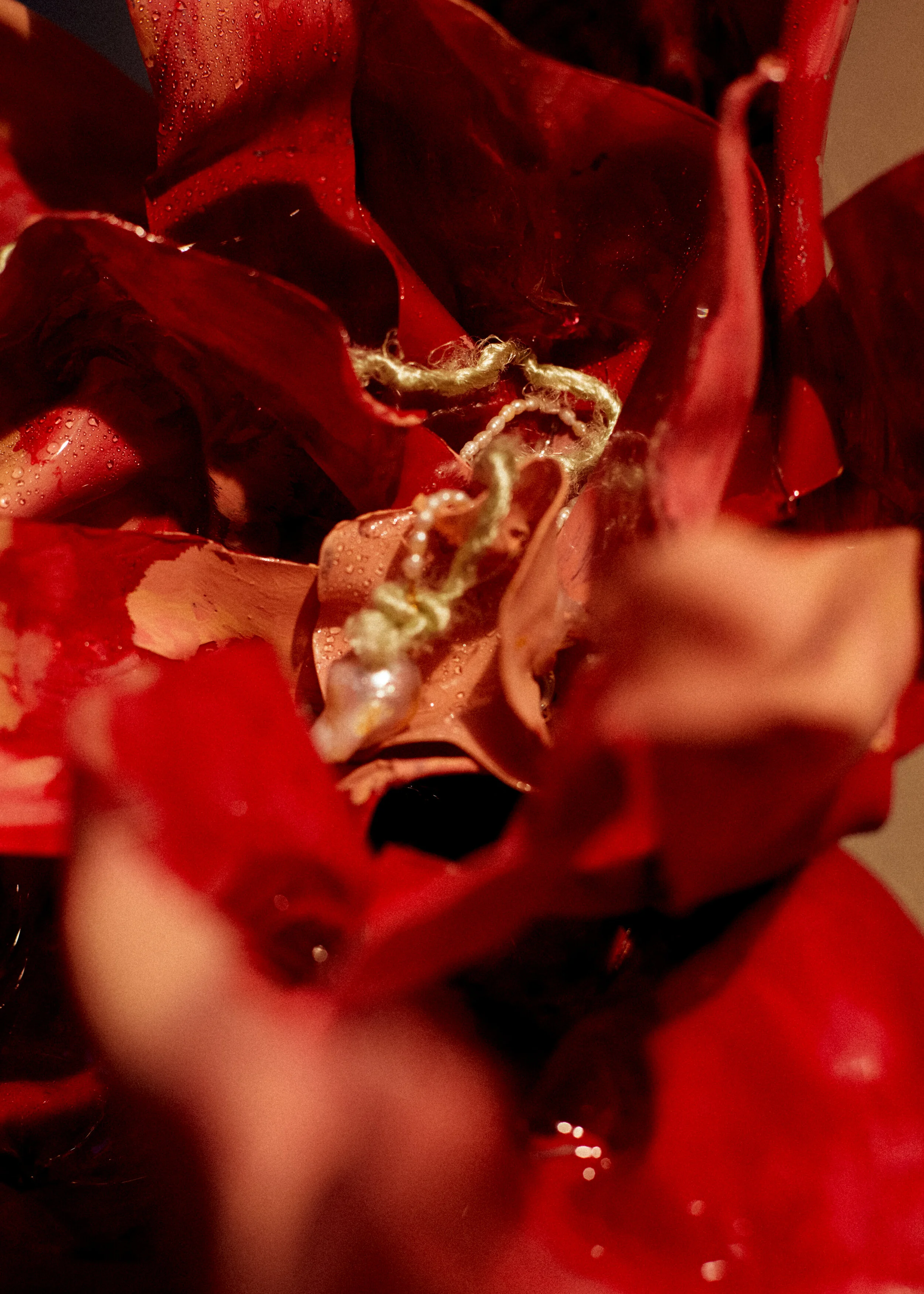 20191004_NR_MAGAZINE102904_R.jpg
