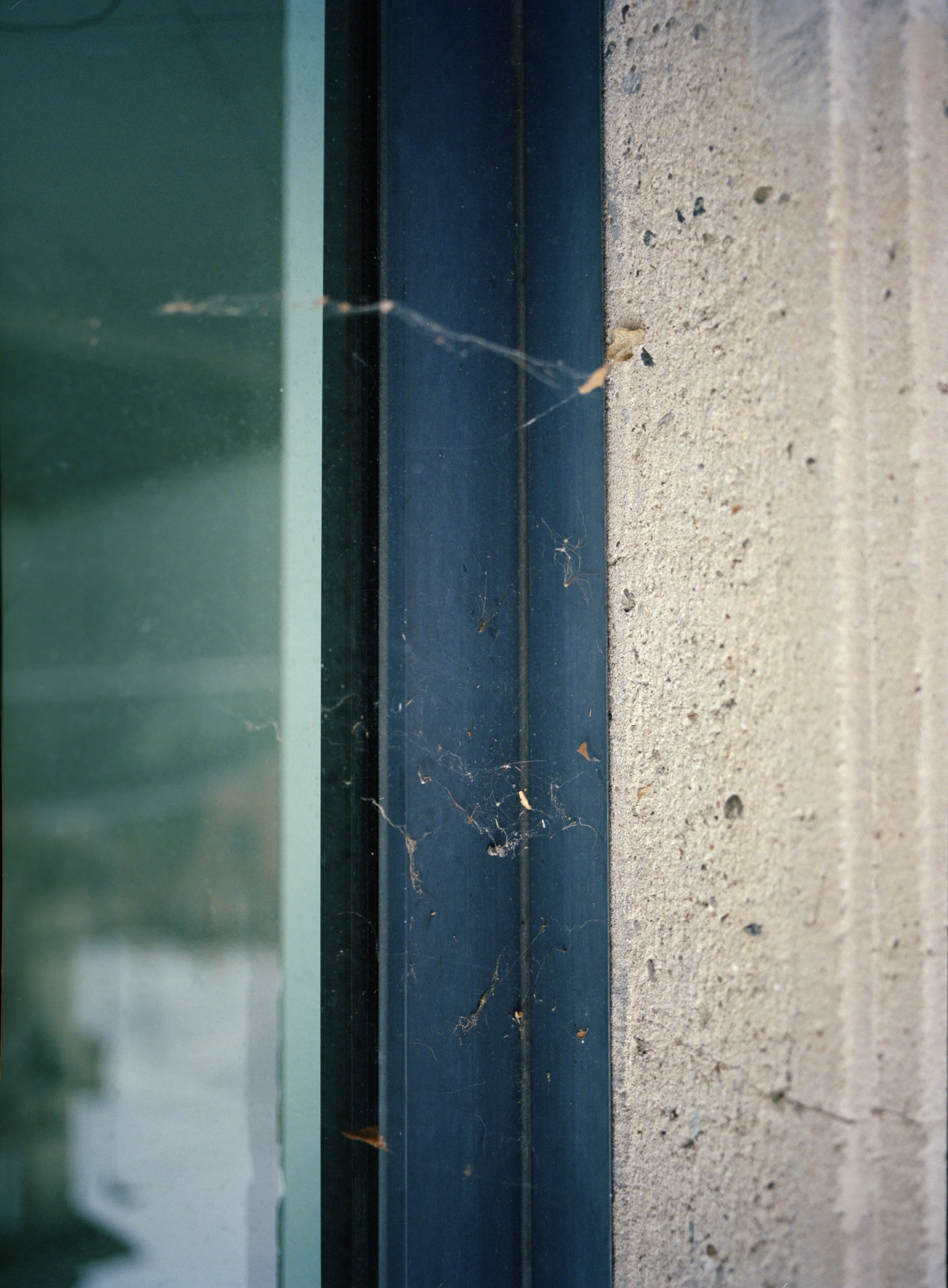 Baratta_Leporati_013.jpg