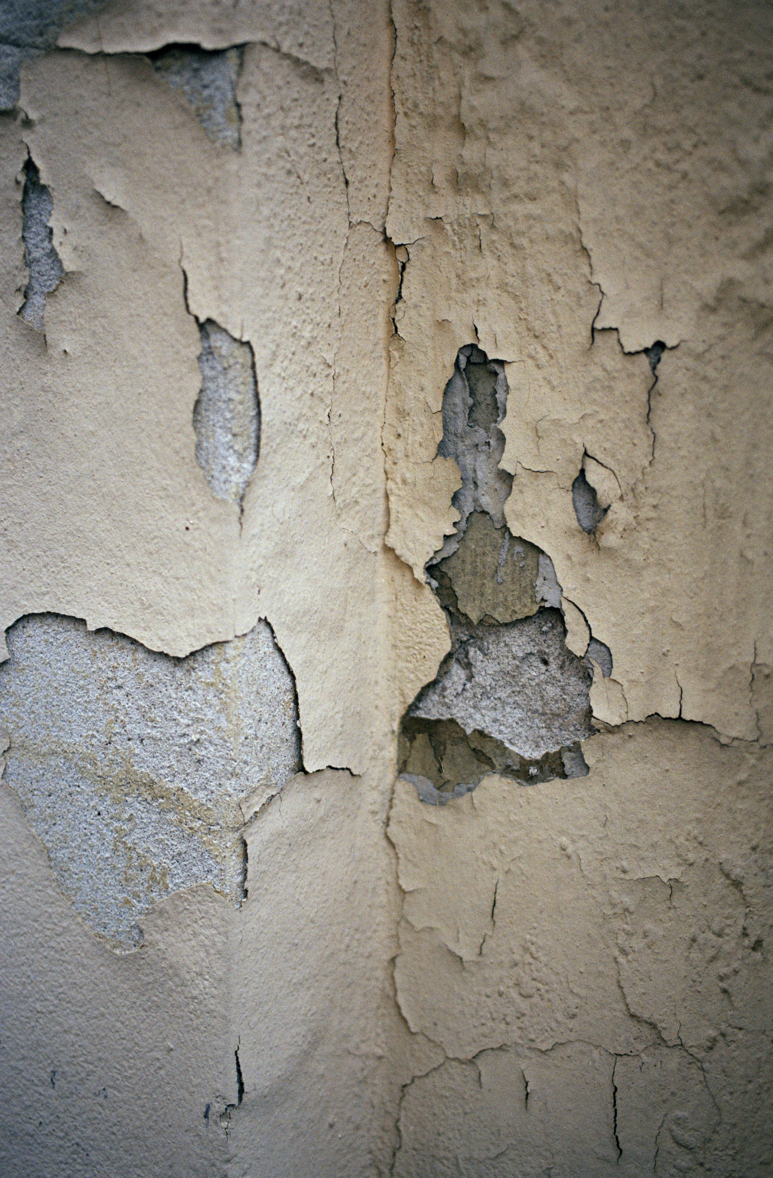Baratta_Leporati_003.jpg