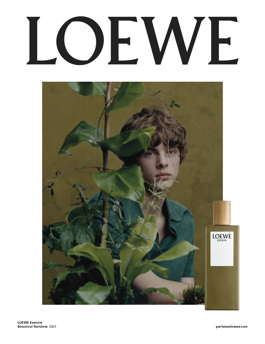 loewe perfume