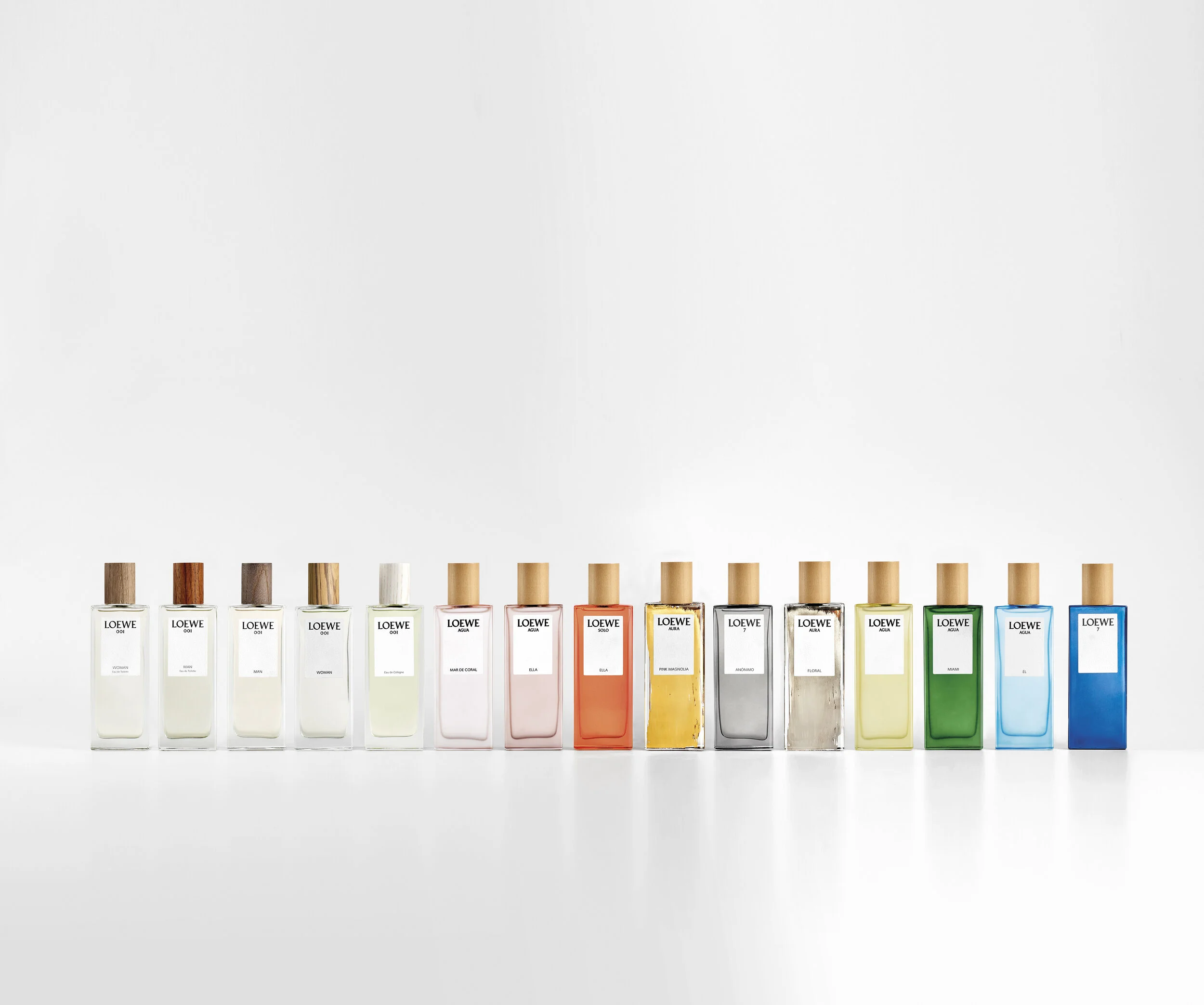 loewe rainbow