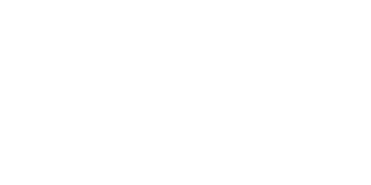 The Seed Foundation