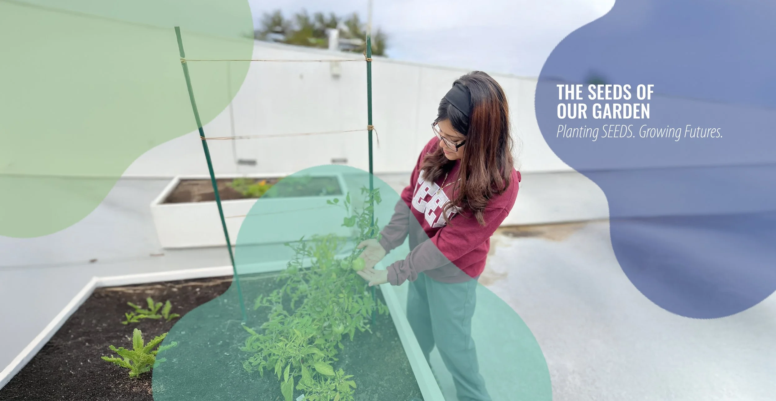         2025 Annual Report   Meet four bright scholars &amp; reflect on the service of SEED’s President &amp; CEO.   Read More >  