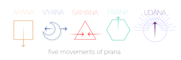 IMAGE OF PRANA VAYUS.png