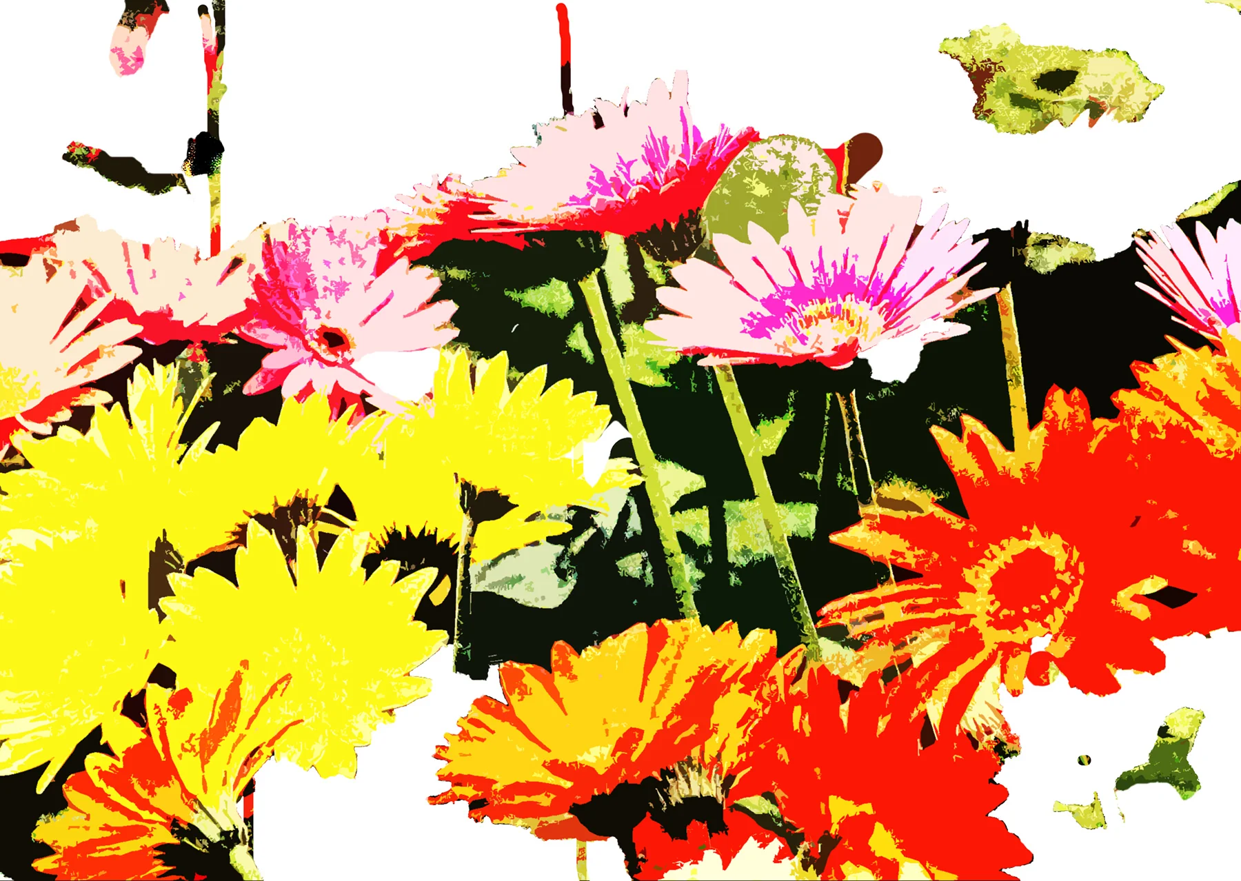 "Red Daisies" 15 x 22 inches, Digital Print on Handmade Paper $700.