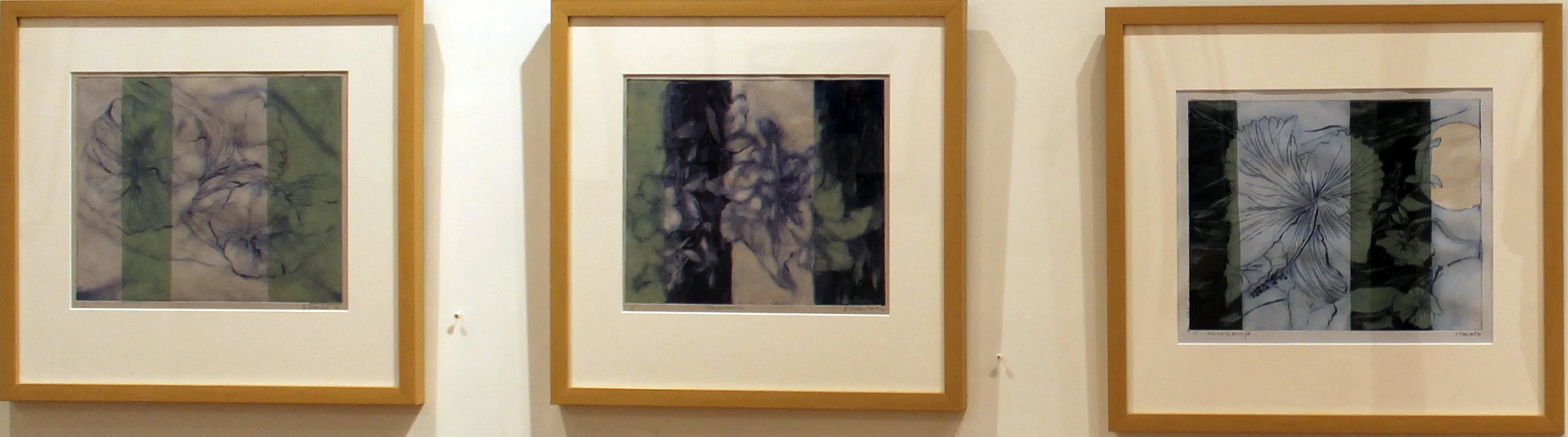 Left to right. “Delicate Blossoms” Solar plate etching with Chine Colle 11 x 14 inches $600 “Hibiscus Divide” Solar plate etching with Chine Colle, 11 x 14 Inches $ 600 “Hibiscus Moonlight” Solar plate etching with silver leaf and chine Colle 11 x 14 inches $600