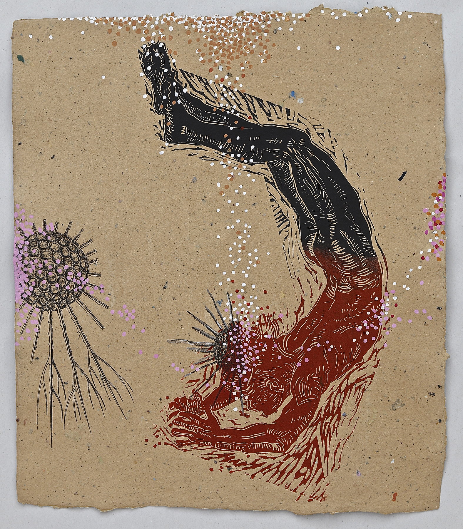 Cladococcus Diver, 16x18", linocut, transfer, and hand-painting on handmade paper, $350