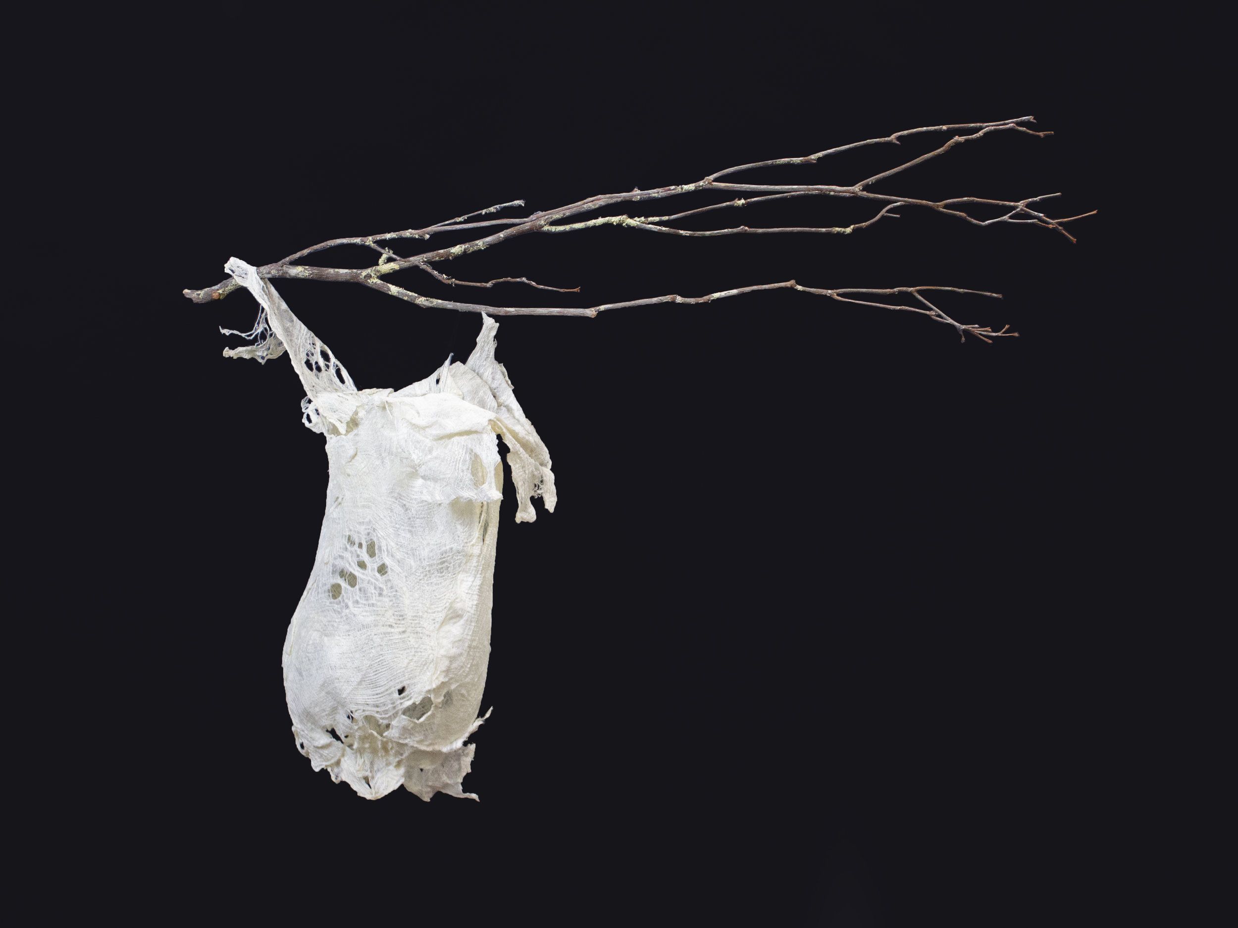 COCOON II, 2016, CAMBIUM FIBER FROM ASIAN MULBERRY TREE AND BRANCH, 30"H x 45"W x 16"D, $2,300