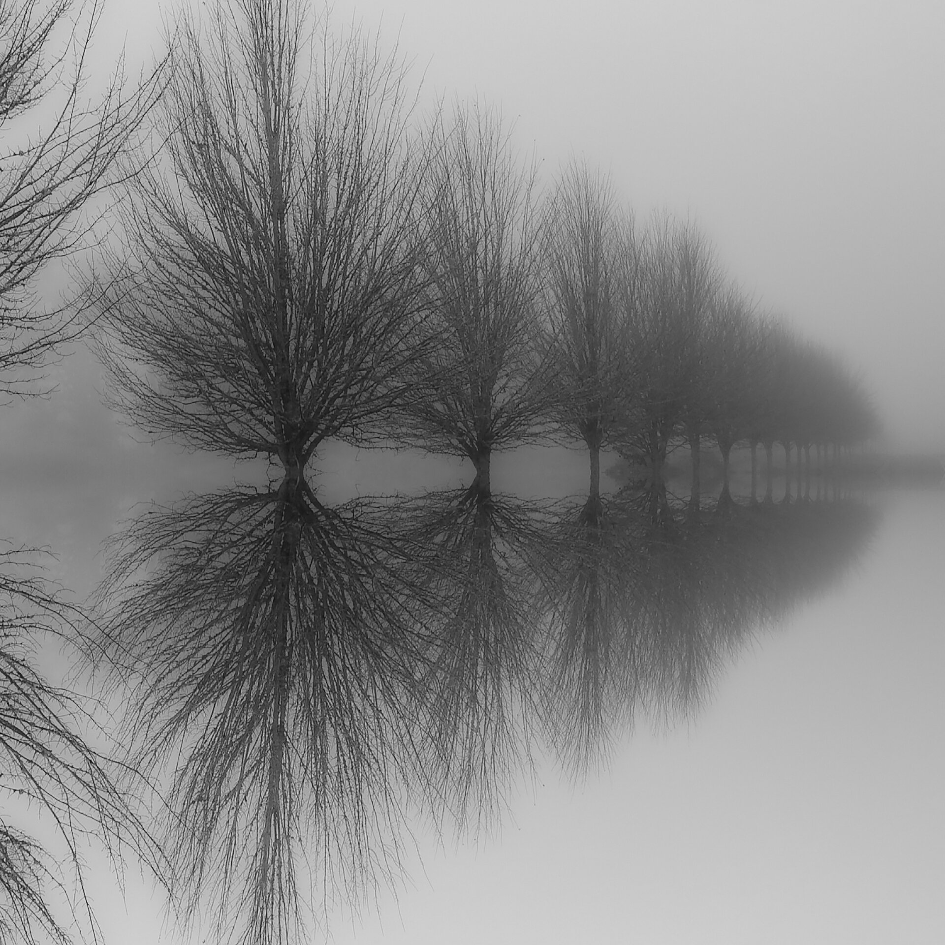   Steven Kratka   “Indefinite Fog” 24" x 24" x 1"; Metallic Photographic print $850. 