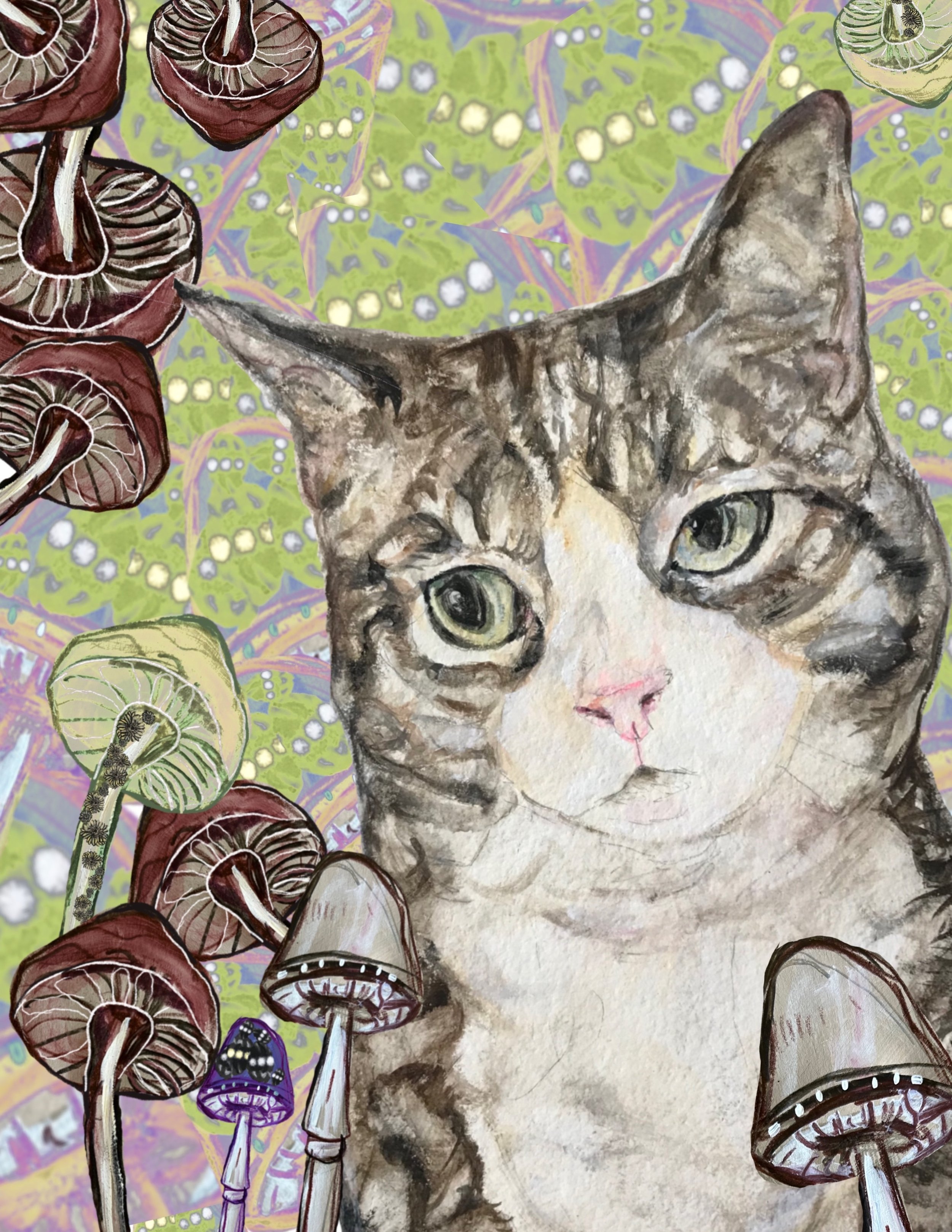  “Mabel Went to Sarah Lawrence” 18” x 24”; giclee print on cotton paper 1 of 2 $500.  Portrait of a tortoise shell cat surrounded by mushrooms 