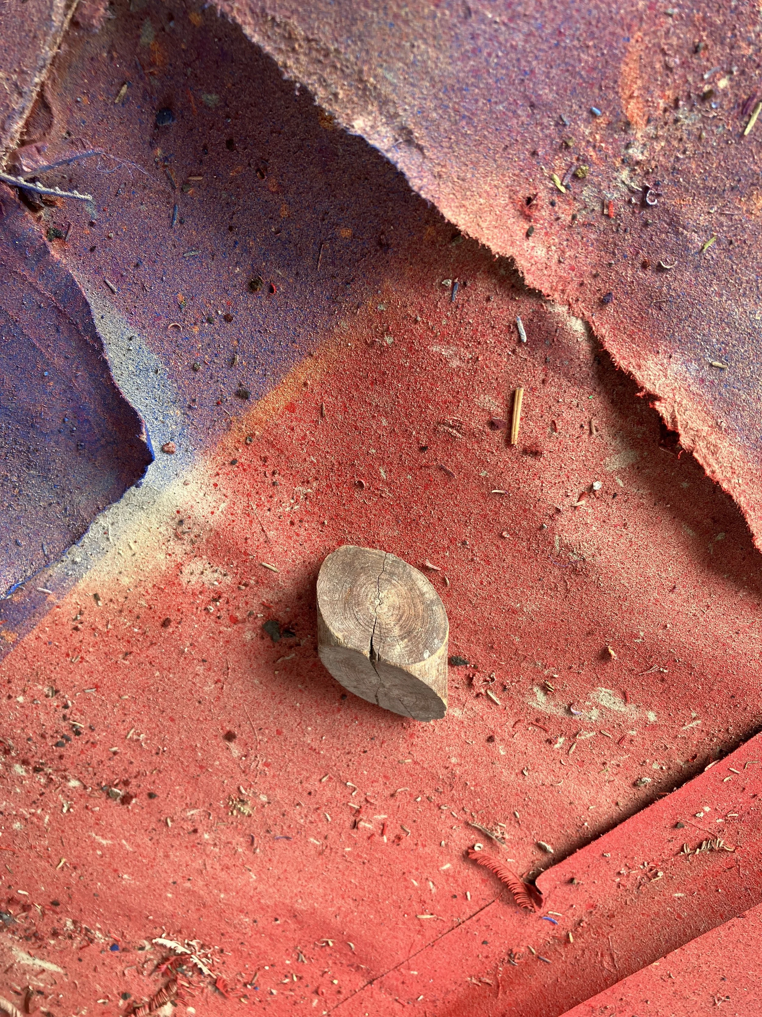 "Wood Knot", Ralph Miller, Original Photograph (Framed), 25.5" x 37.75", 2025