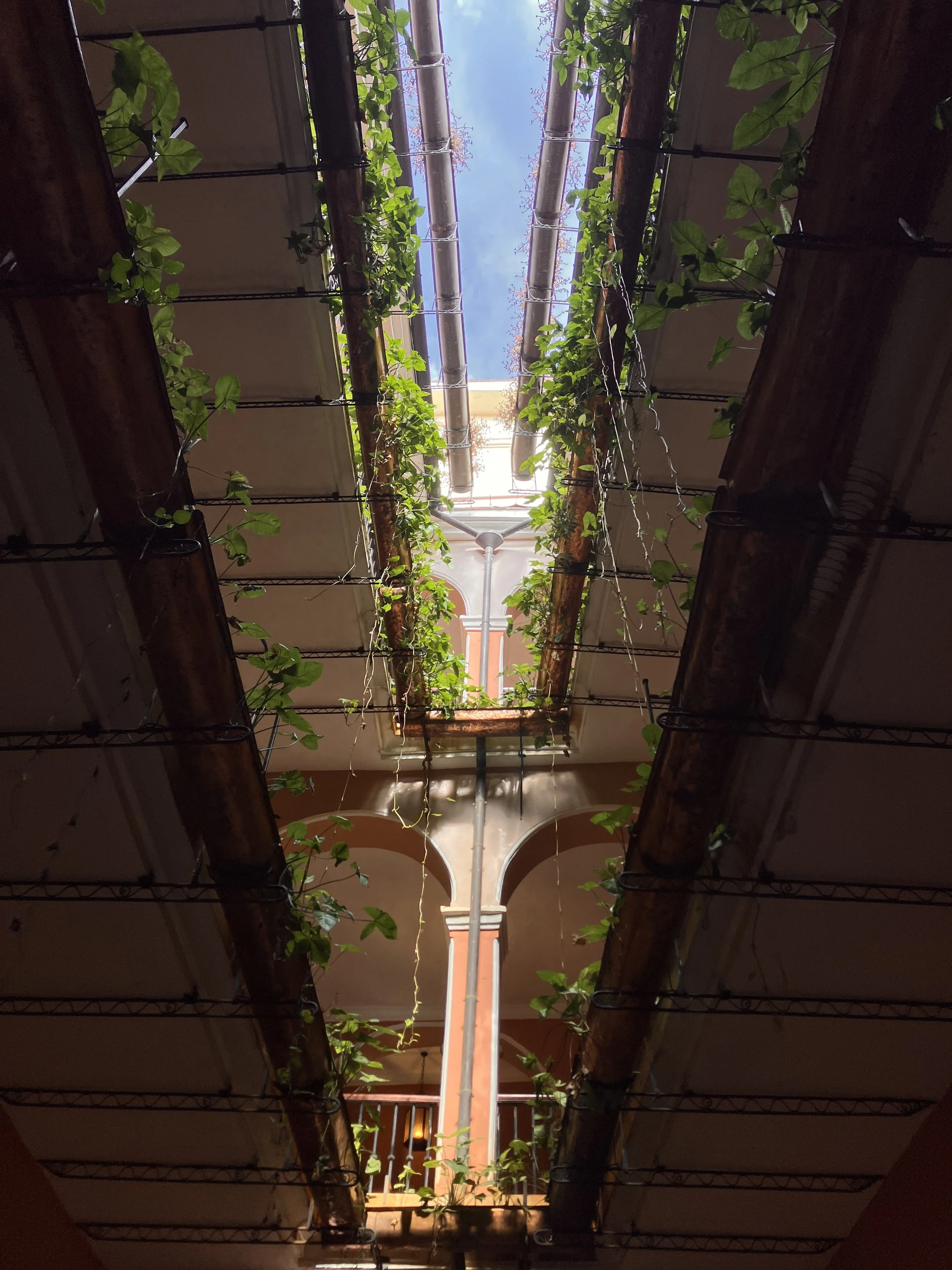 "Old Building #4", Ralph Miller, Original Photograph (Framed), 25.5" x 37.75", 2025