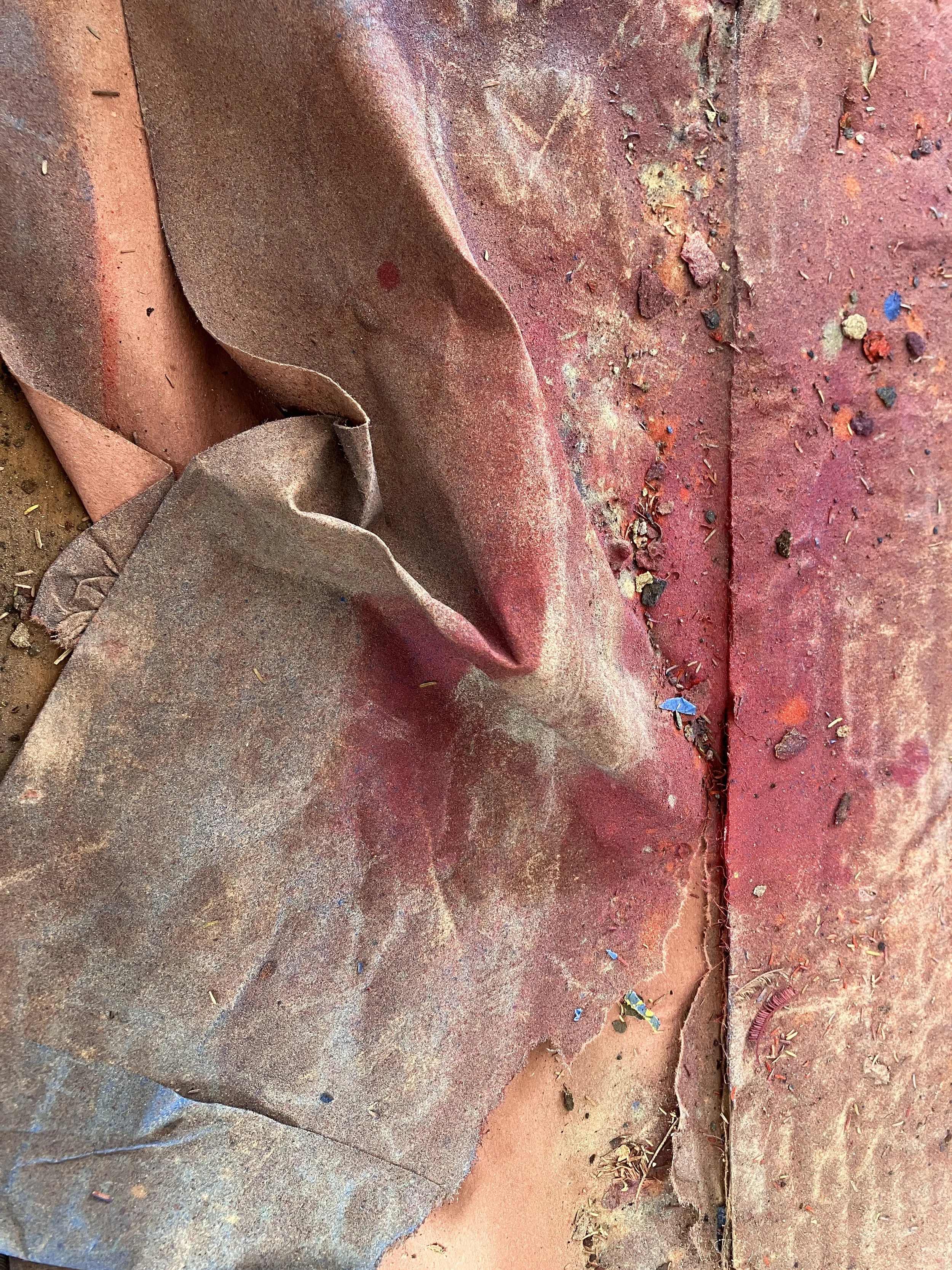 "Folded Rose 1", Ralph Miller, Original Photograph (Framed), 25.5" x 37.75", 2025