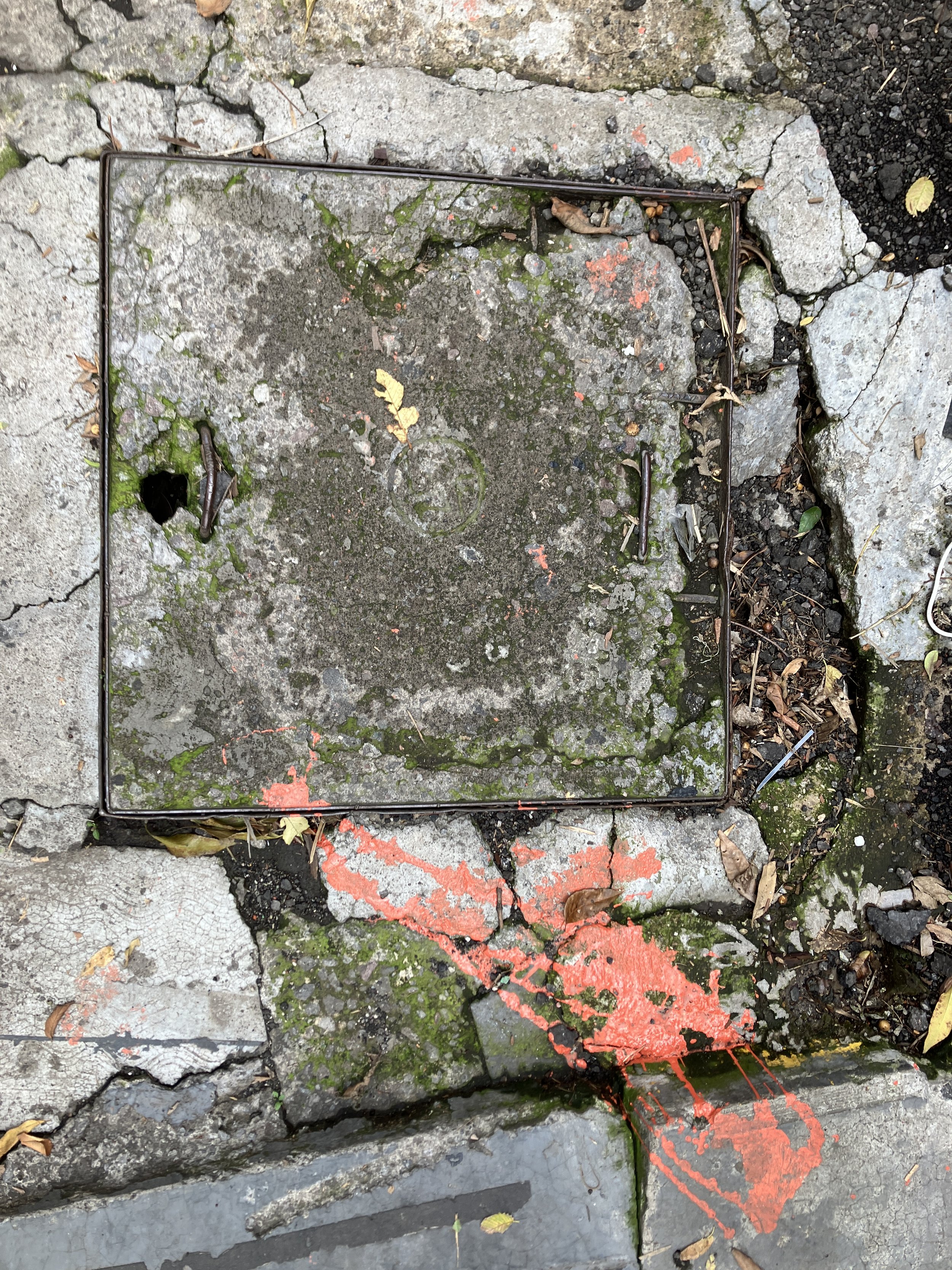 "Urgent Mark [Sidewalk #1]",, Ralph Miller, Original Photograph (Framed), 25.5" x 37.75", 2025