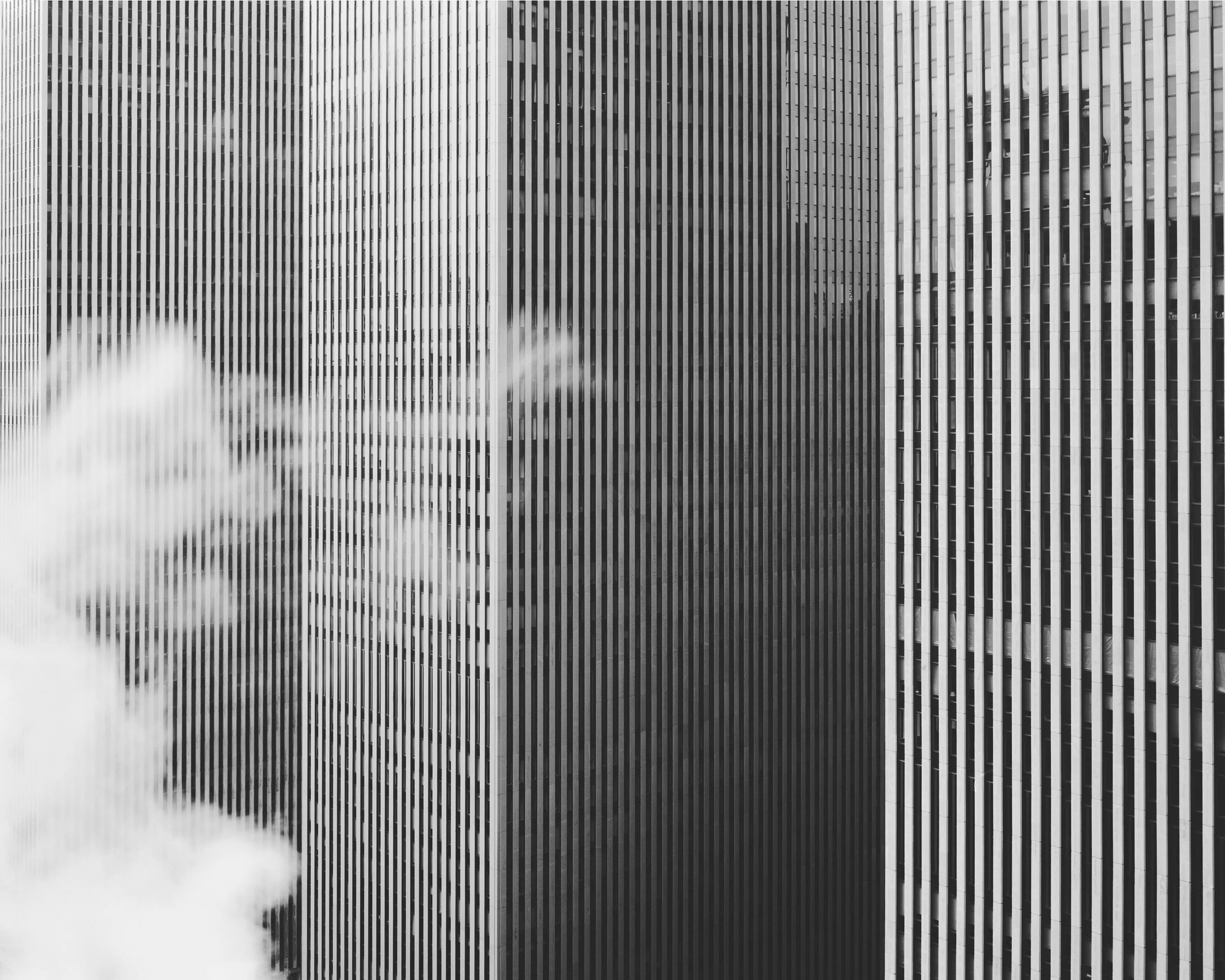 Rock Center West_$800.jpg