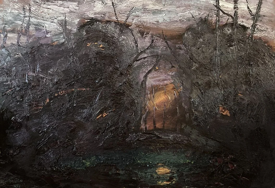 Sunset in the Forest