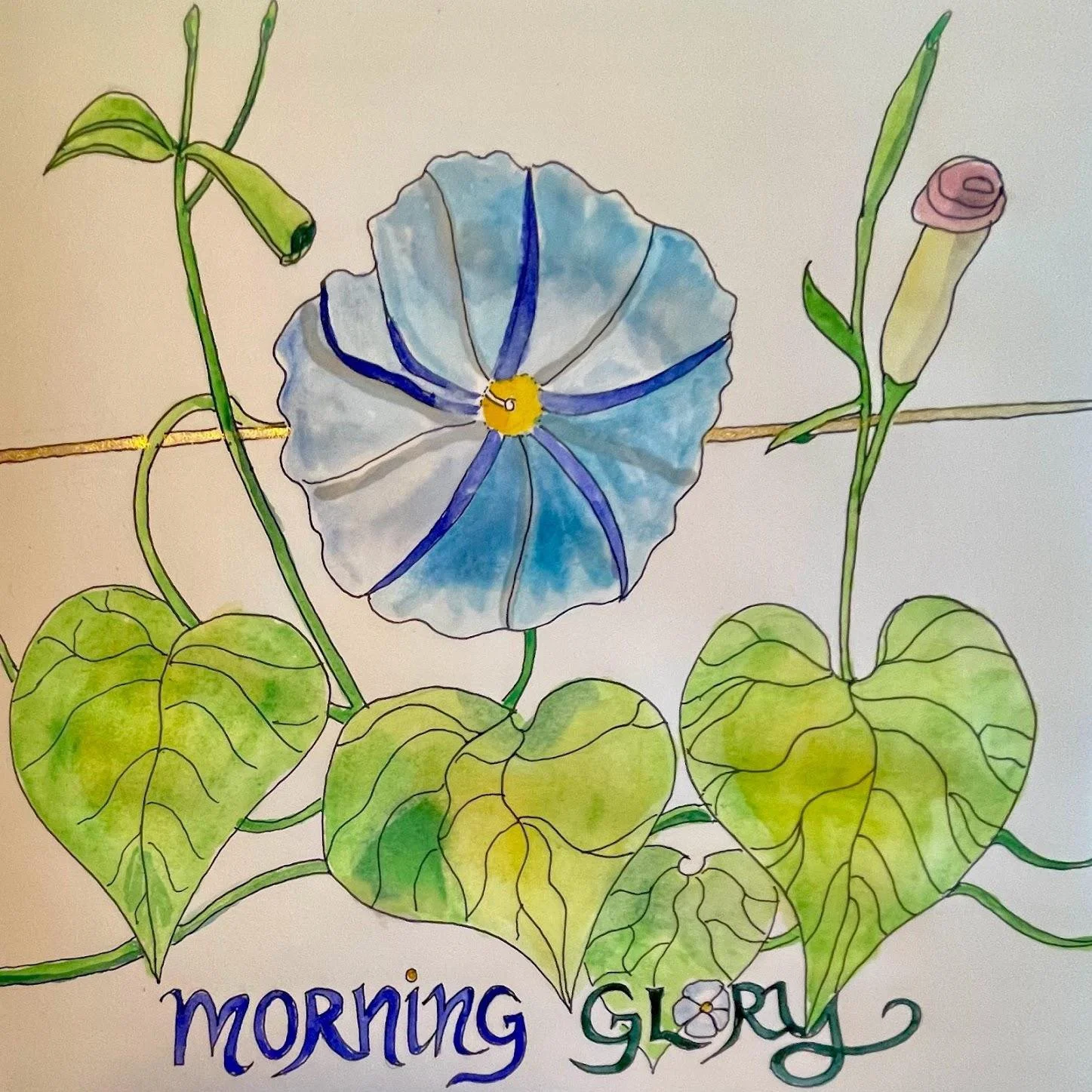 Morning Glory, 2021